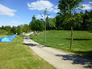 jugendcampingplatz-blick-nach-oben-web